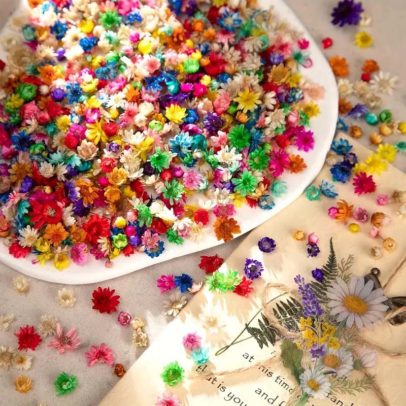 ワックス成形、キャンドル装飾用のカラフルな花、混合樹脂工芸品 - Candle Making Material のレビューと価格